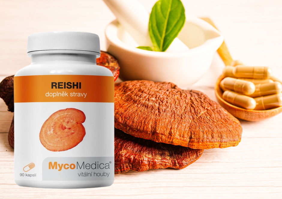 Reishi - houba nesmrtelnosti